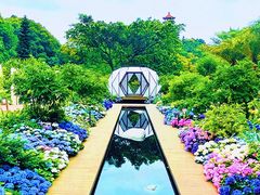 -深圳仙湖植物园