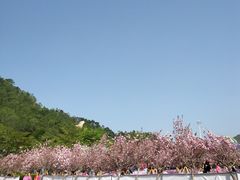 -汕尾铜鼎山旅游区