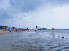 -碧海金沙