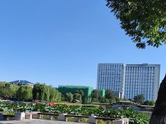 -西海子公园