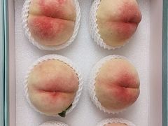 -老袁家蜜桃农场·阳山水蜜桃