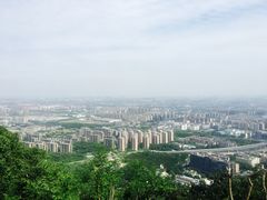 景点-杭州半山国家森林公园