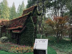 -东平国家森林公园