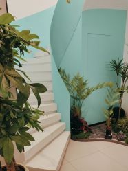 -水女人科技美肤·LDM·超清秀