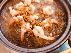 -邵年鸽(杨庄店)