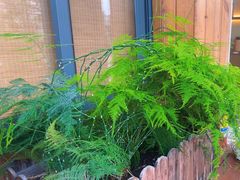 -小茶闲舍·观景商务茶馆(广州塔店)