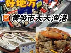 -天天鱼港·海鲜·鲅鱼水饺·招牌烤鸭(黄骅店)