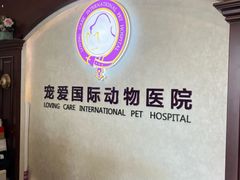 -宠爱国际动物医院·疑难骨科·心肾内科·皮肤科(太阳宫店)