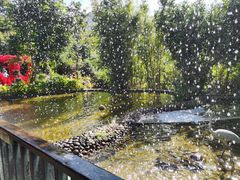 -亚龙湾热带天堂森林公园