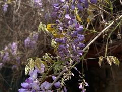 -时间仓(月湖公园店)