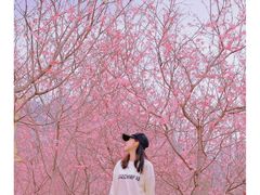 -田野绿世界