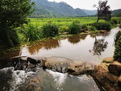 -中国茶叶博物馆(双峰馆区)