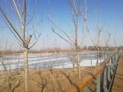 -东郊湿地公园