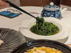 -新雅粤菜馆(南京东路店)