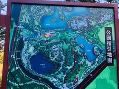 -王借岗森林公园