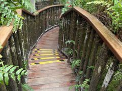 -正佳雨林生态植物园