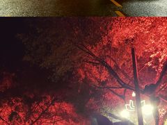 -禅驿嘉定院子-禅欢江景餐厅·中餐·户外烧烤定制(乐山大佛店)