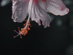 -维乐口腔医院(星海湾分院)