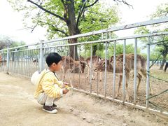 -西安秦岭野生动物园