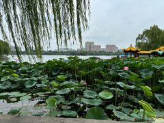 -济南大明湖景区