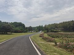 -宜兴龙背山森林公园