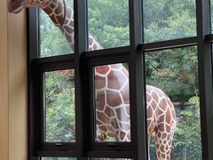 -宁波野生动物园