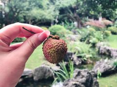 -新荣记(西溪湿地店)