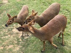-南京金牛湖风景区