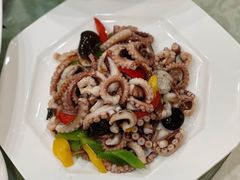白爆八爪鱼-72号海鲜私房菜