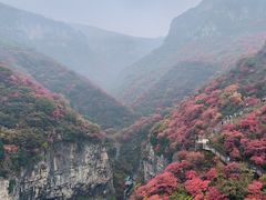 -黄花溪