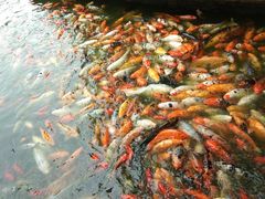 -荆川公园