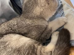 -平行世界·猫咖(首经贸店)