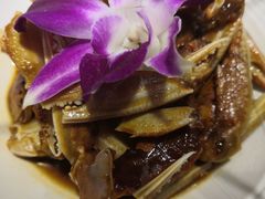 -港畔赶海蒸汽海鲜烧烤自助(仙螺岛店)