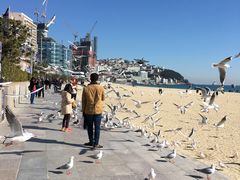 -海云台海滩