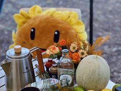 -上海共青森林公园