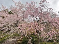 -三千院