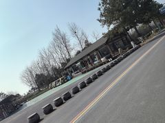 -合肥滨湖国家森林公园