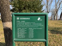 -北极寺公园