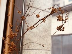 -梅间堂茶馆(绿地缤纷城店)