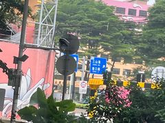 -映月湖公园