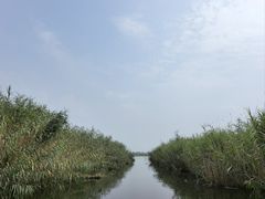 -白洋淀风景区