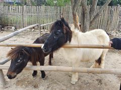 -泉州海丝野生动物世界