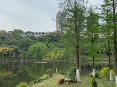 -重庆彩云湖湿地公园