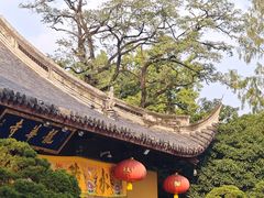 -龙华素斋(龙华路店)