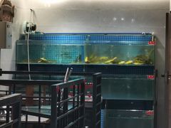 -大鹅岛灶台鱼·铁锅炖(水库路店)