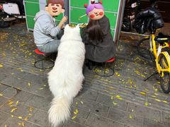 -郭记小街麻辣烫(南小街总店)