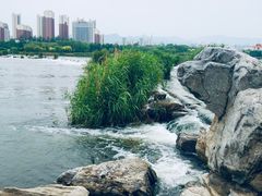 -永定河休闲森林公园