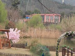 -无锡动物园·太湖欢乐园