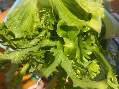 -0317火锅鸡·清真(正达店)