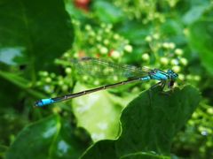 -济南南郊宾馆